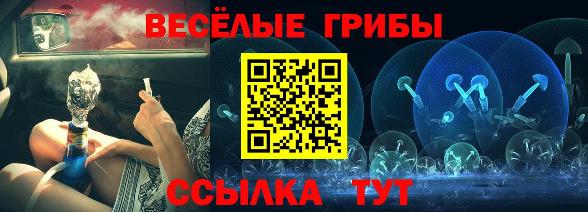 Галлюциногенные грибы Psilocybine cubensis  Псилоцибиновые грибы Psilocybe  Вход с VPN  Лесосибирск 